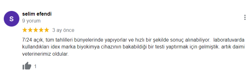 Kadıköy 7/24 açık veteriner polikliniği, Hayvan hastanesi, En yakın veteriner, açık veteriner, nöbetçi veteriner, kadıköy hayvan hastanesi